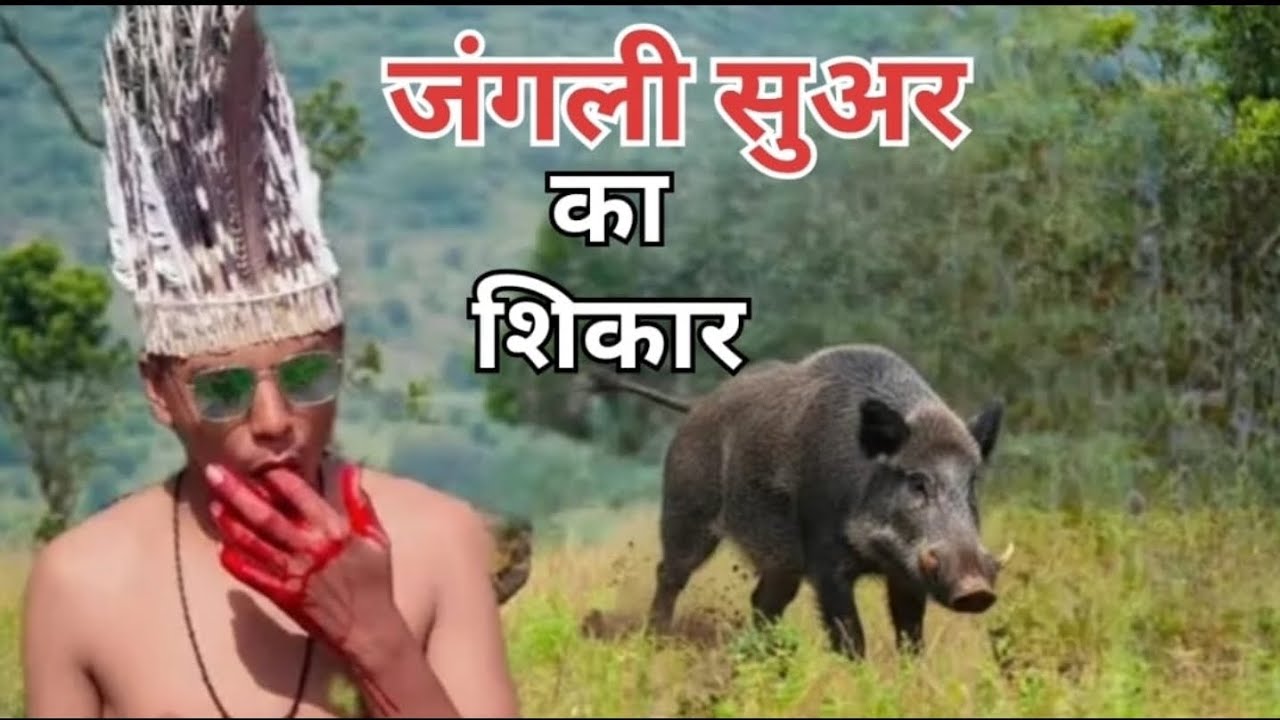 जंगली सुअर का शिकार | aadimanav hunting wild pig 😱