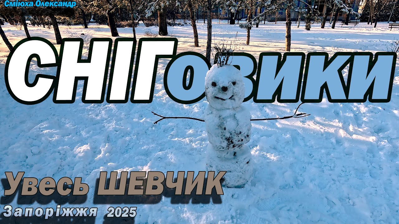 Довгоочікуваний, справжній СНІГ у Запоріжжі. Сніговики. Стріла. Клімова.