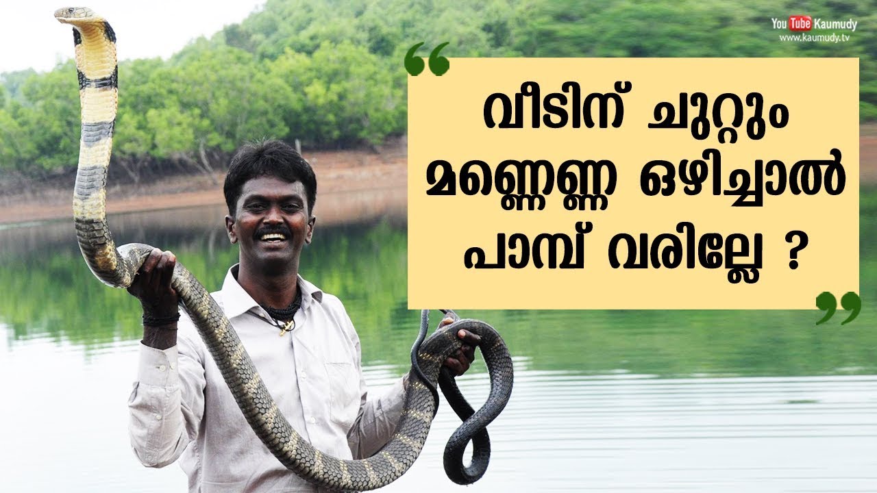 Won’t snake come to our house if we pour kerosene around it?