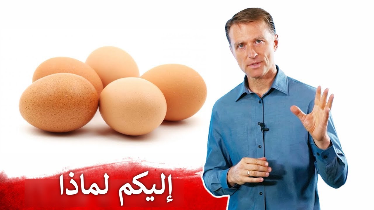 لماذا أتناول خمس بيضات يوميا؟