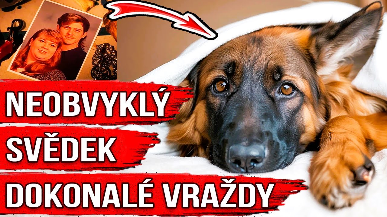 Neobvyklé důkazy pomohly odhalit případ! Případ Kathy Lambové