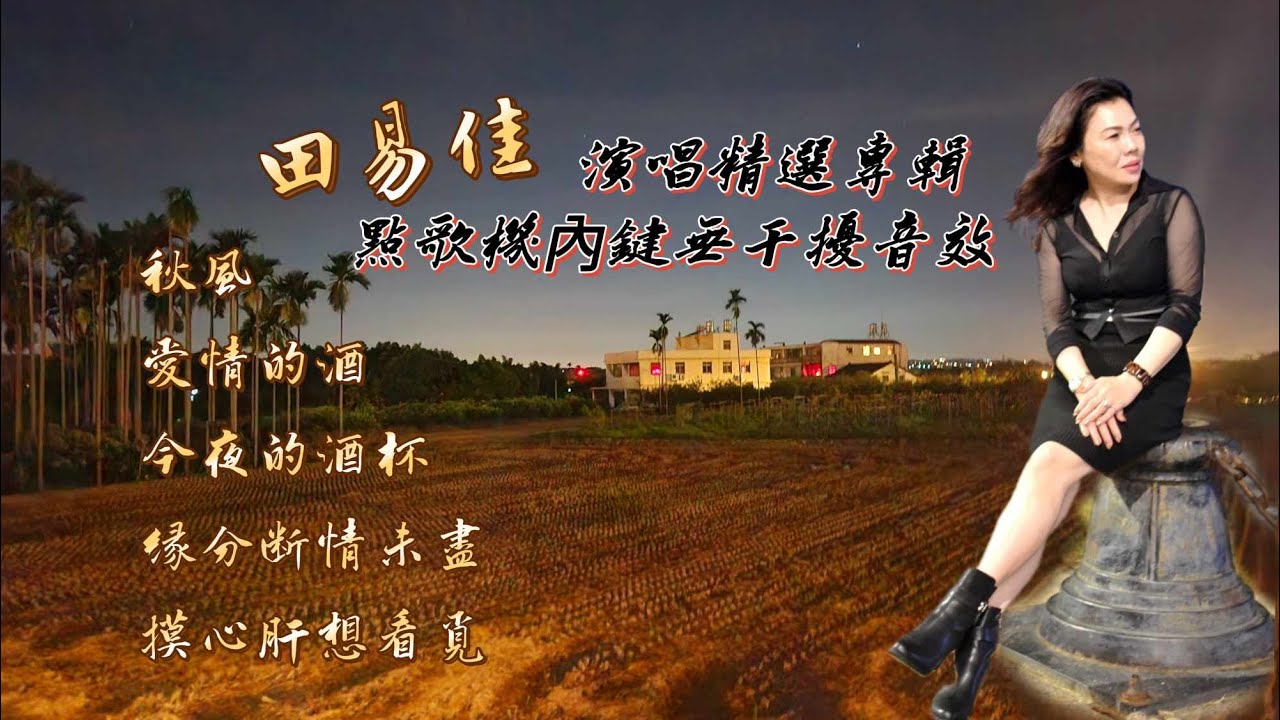 #秋風 五首精選歌曲（1）- 安平街頭藝人 田易佳 演唱 應海外粉絲建議推出精選街頭演唱專輯 (錄影 莊新林 連結點歌機錄音無雜音效果)