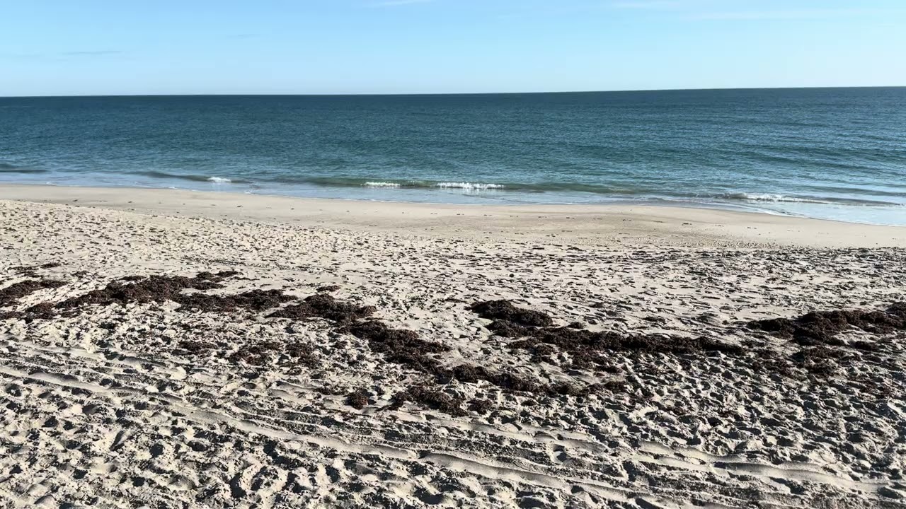 Atlantic beachfront, coconut point park,  melbourne beach florida @zenbeachseconds