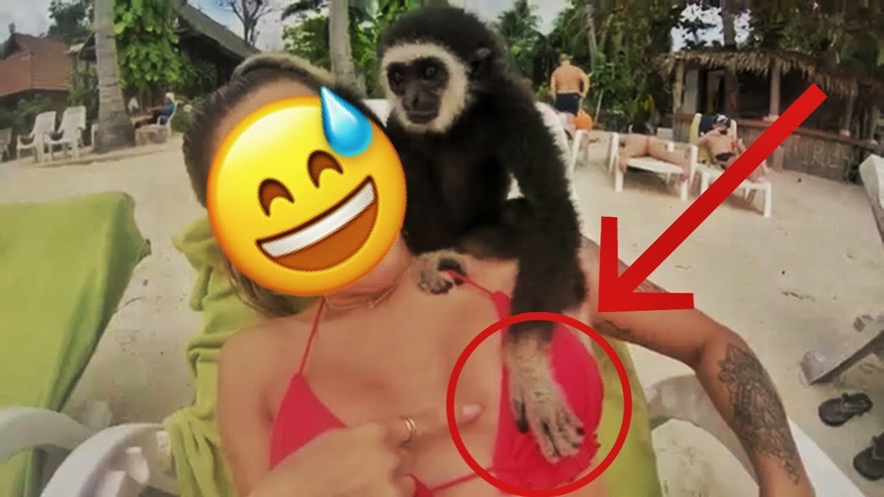 THAILAND VLOGG - Militären stoppar Jack...