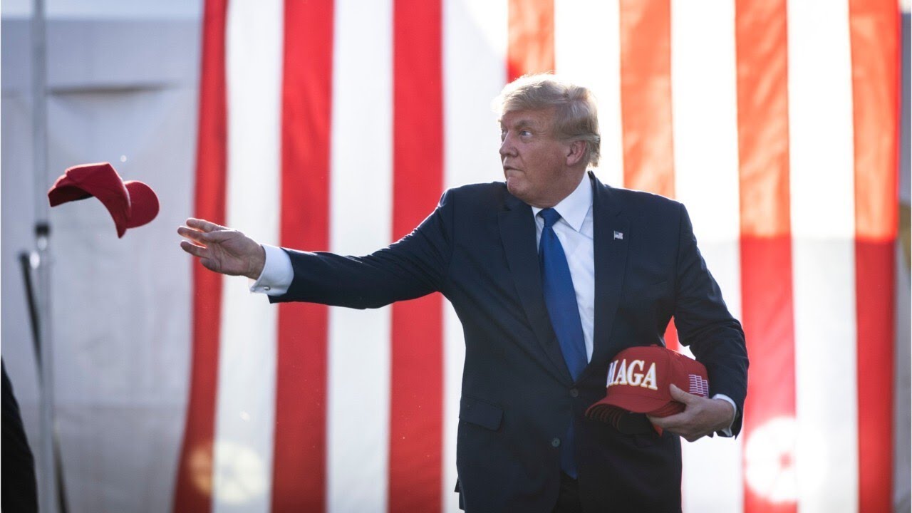 Flawless run: All 22 Trump endorsed candidates win Republican primary