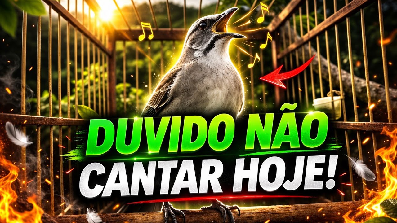 ESSE VÍDEO DE TRINCA FERRO CANTANDO TEVE 1 MILHÃO DE VISUALIZAÇÕES.