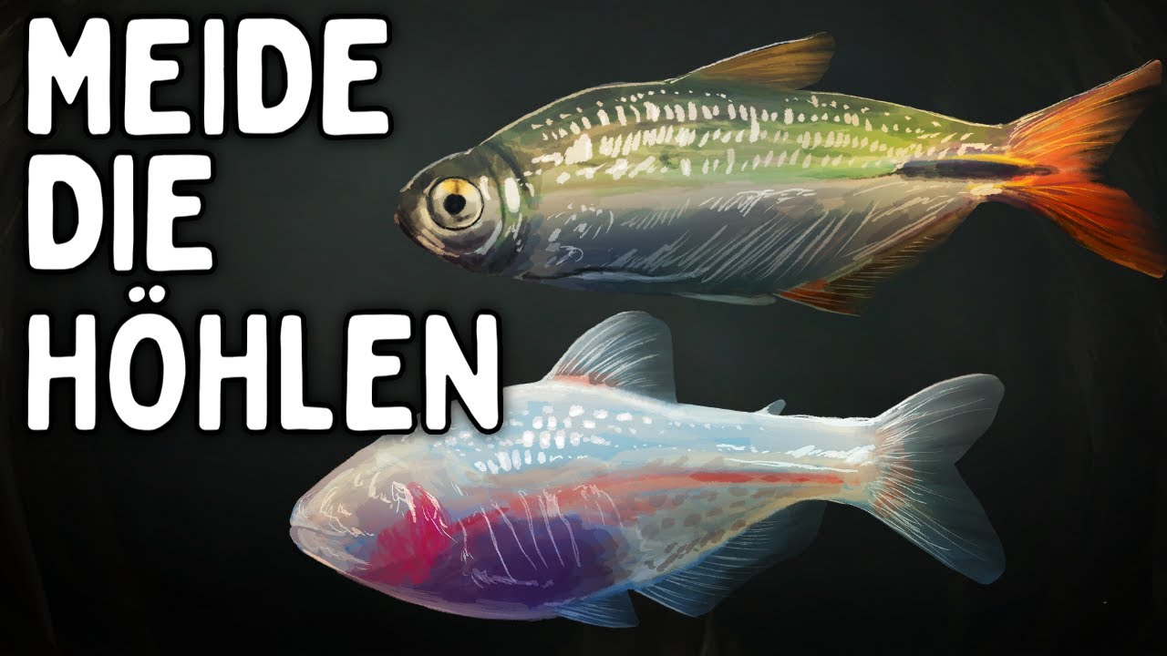 Was passiert, wenn man einen Fisch für immer in eine Höhle sperrt?