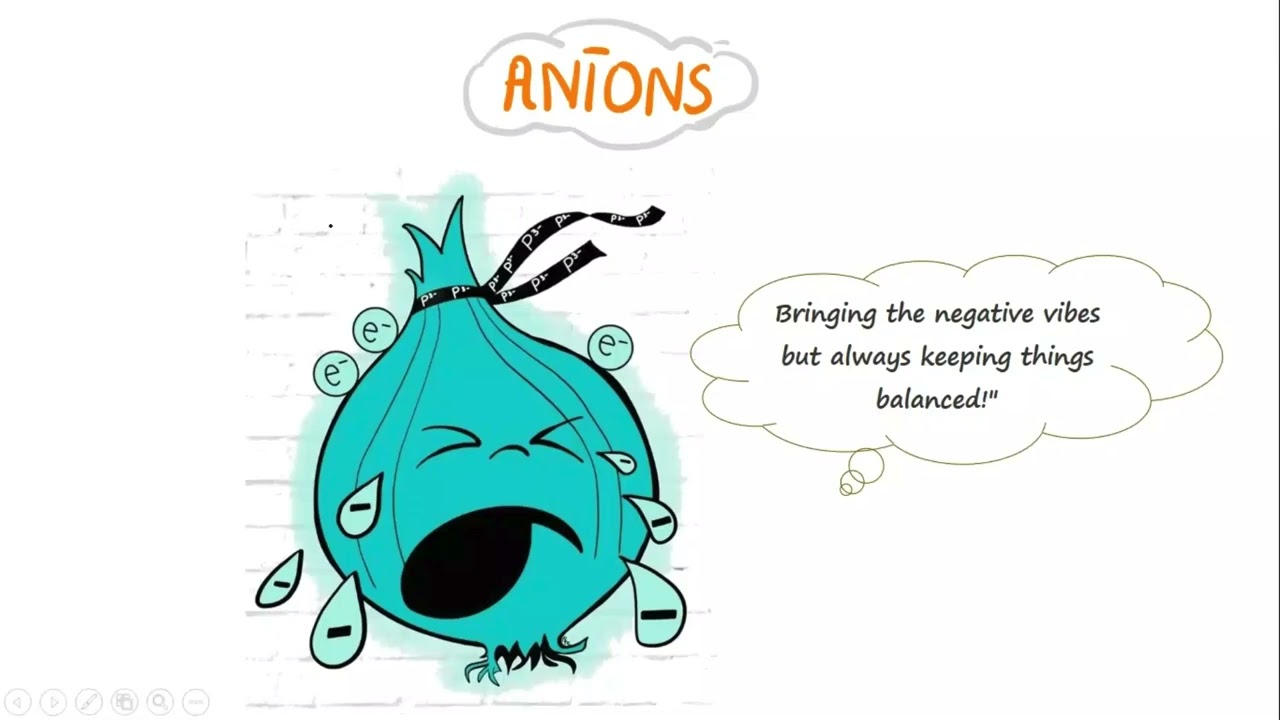 Role of Negative Ions in Living Organisms | Chemistry of Life | IAL, IB, AP , A-levels