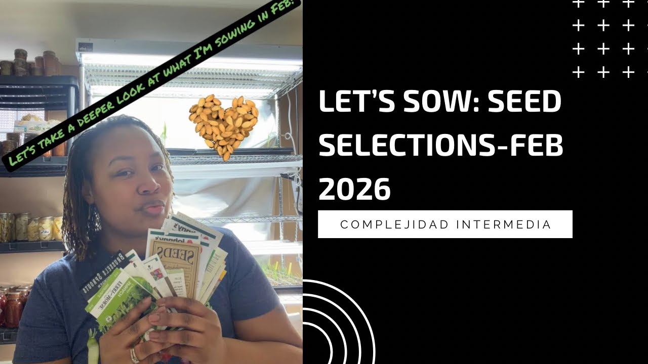 LET’S SOW: Feb 2026 seed varieties! 