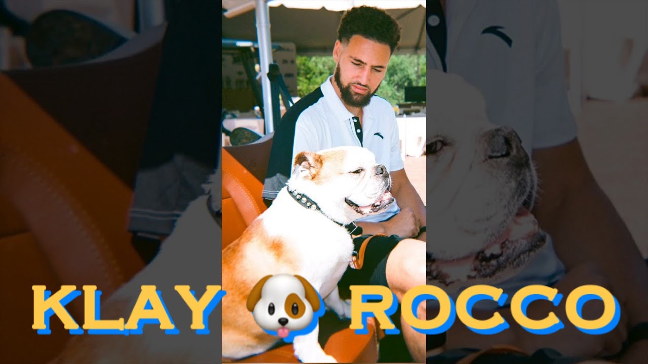 bts[9:16] Rocco compilation! With and without Klay, one with Laura Harrier (“family”)