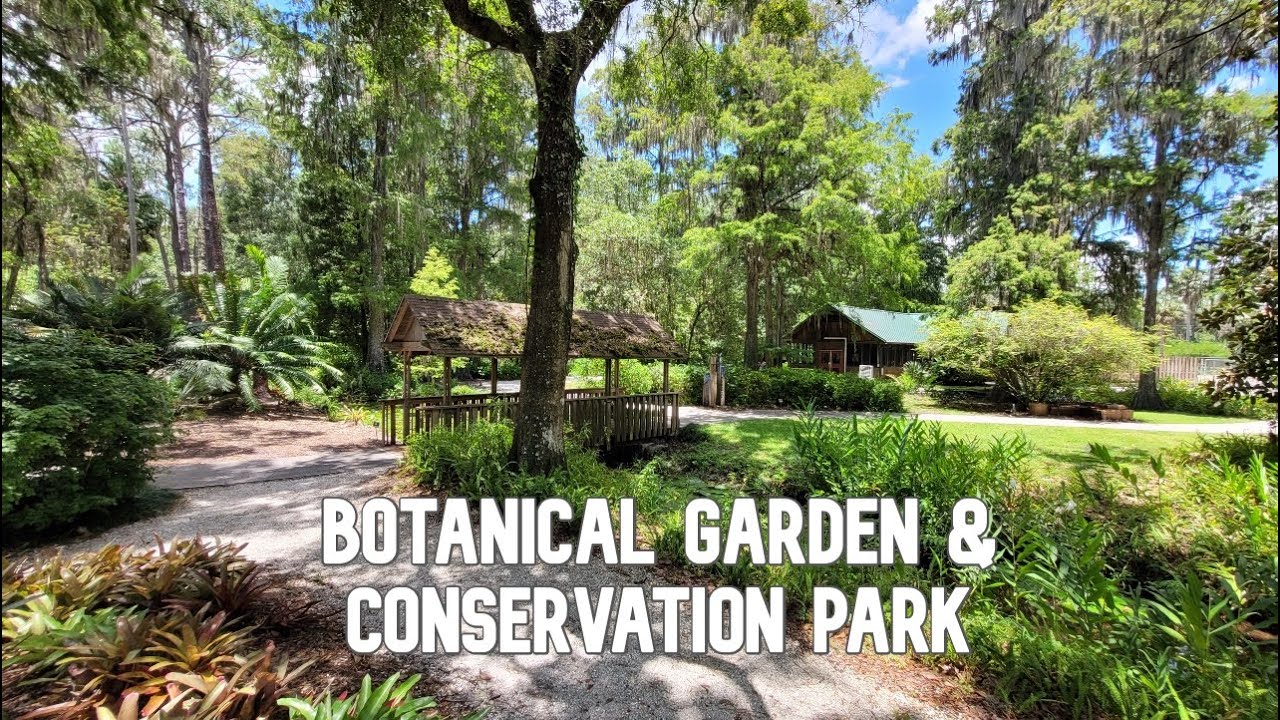 🥾 Eureka Springs Conservation Park in Tampa