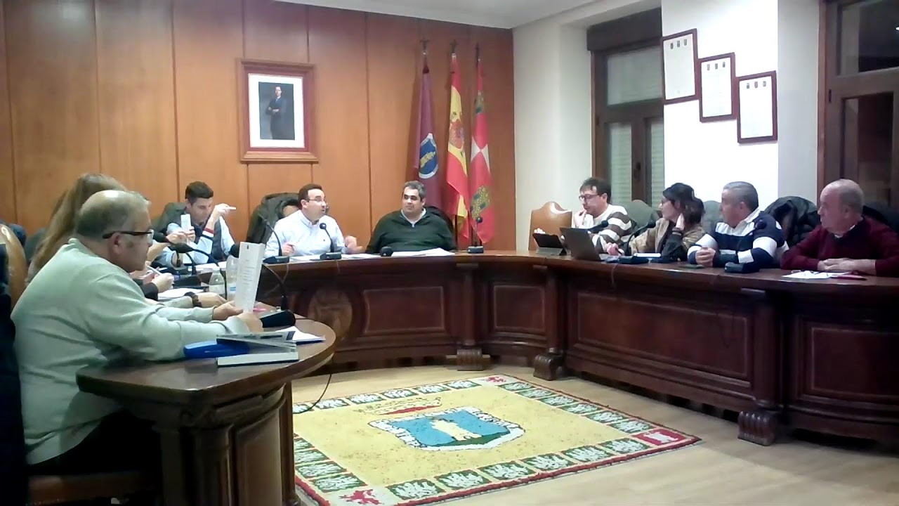 Pleno ordinario 29/01/2026