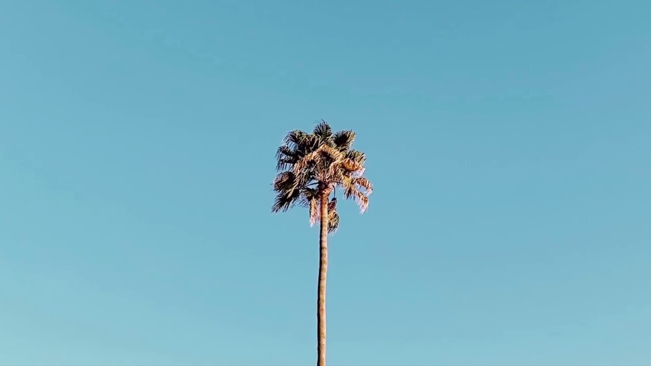 Free Chill Storytelling Type Beat / Rap Hip Hop Instrumental / 