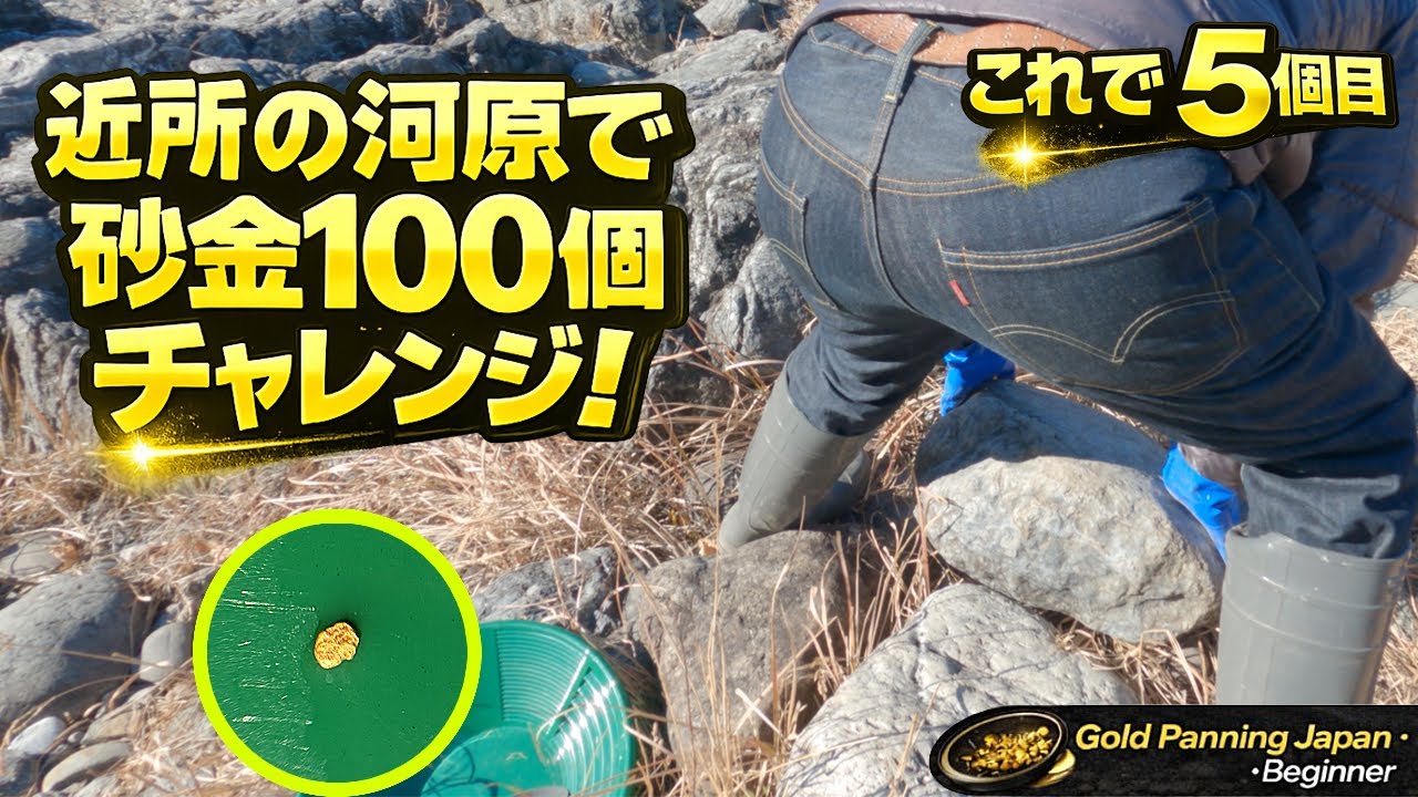 ↑石の下から！！初心者が金100個にチャレンジ！これで5個目！ひとり河原に　相棒の探知機と共に・・・AI×金属探知機｜Gold Panning in Japan　