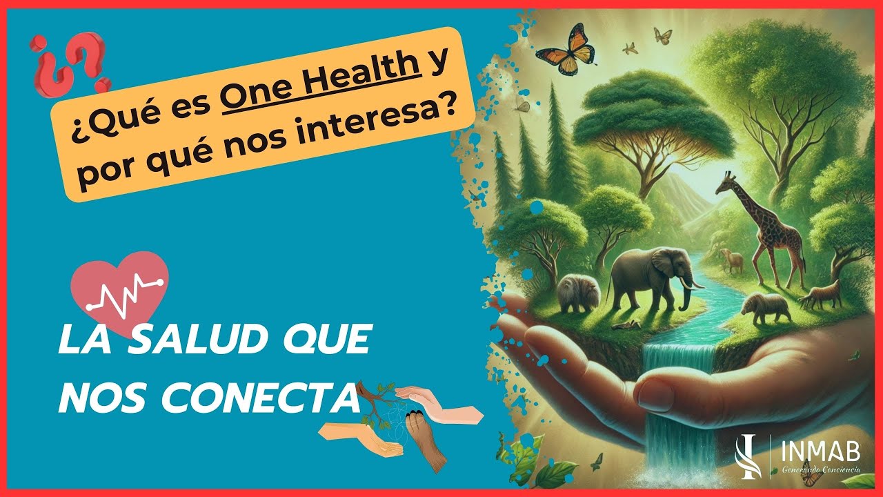 One Health: La Conexión entre Humanos, Animales y el Planeta