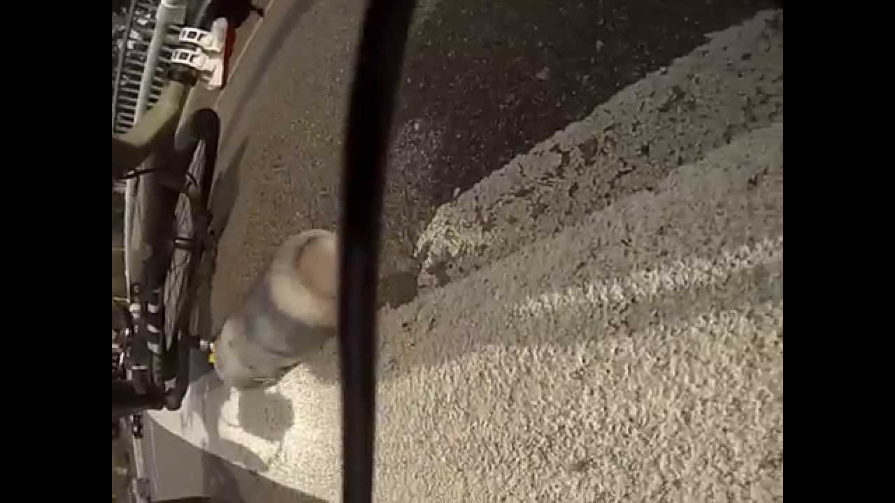 The Bush Capital: Roo v Cyclist 19 January 2015