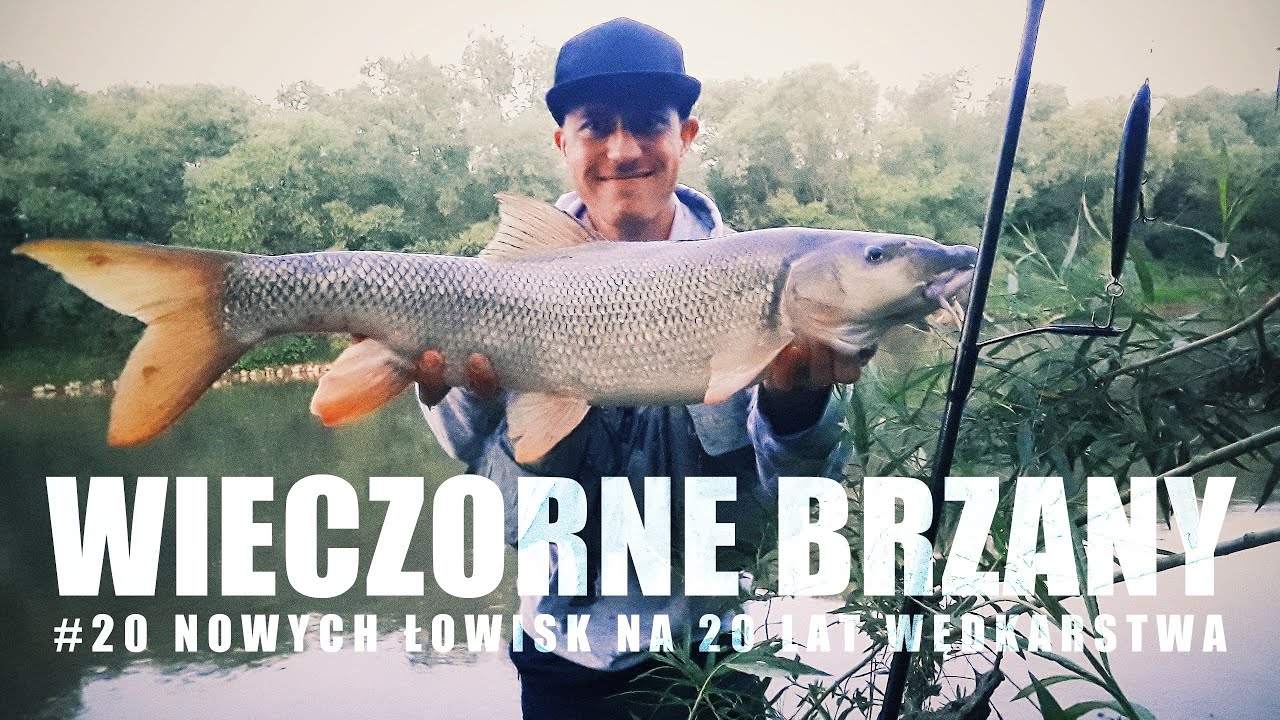 Wieczorne brzany | rzeczny spinning o zmierzchu