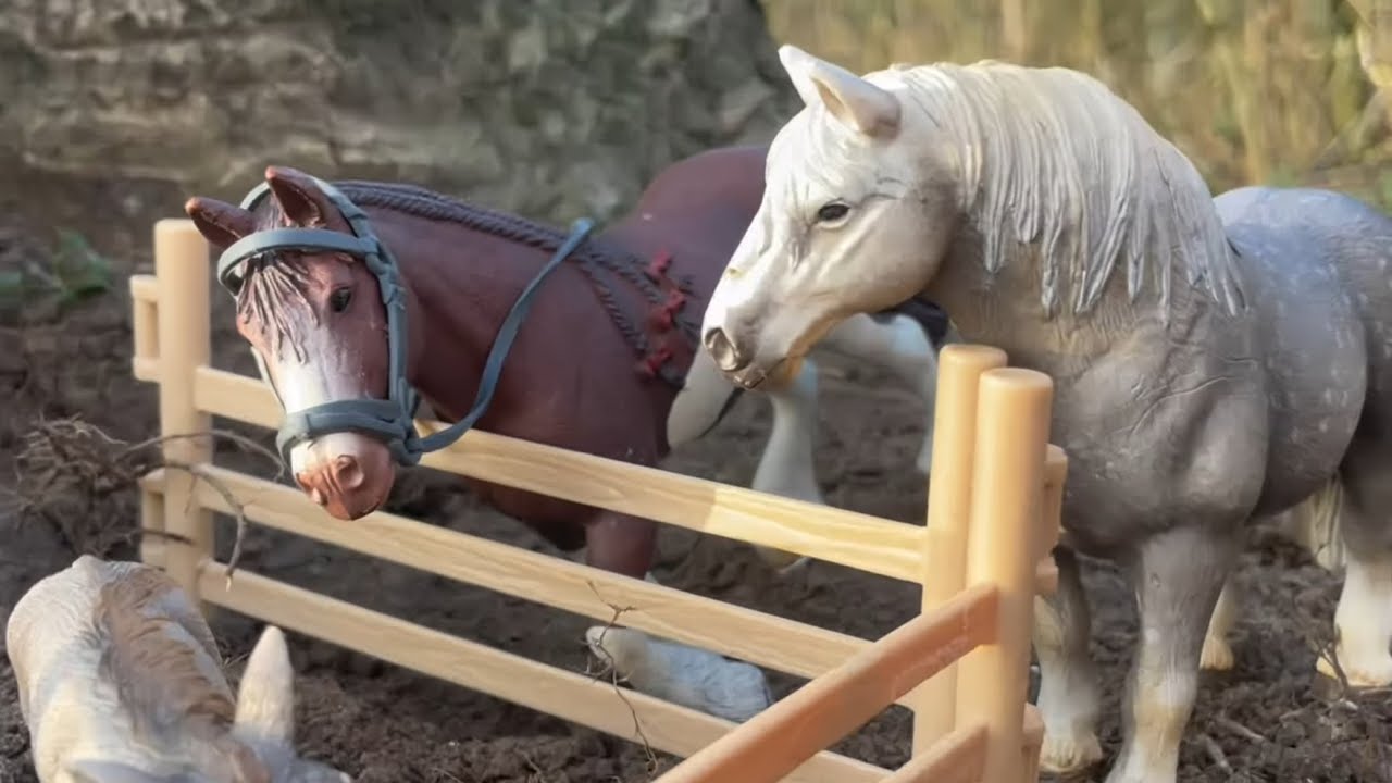 Runaway Racehorse - Schleich horse series | episode 5 - 'New Arrival'