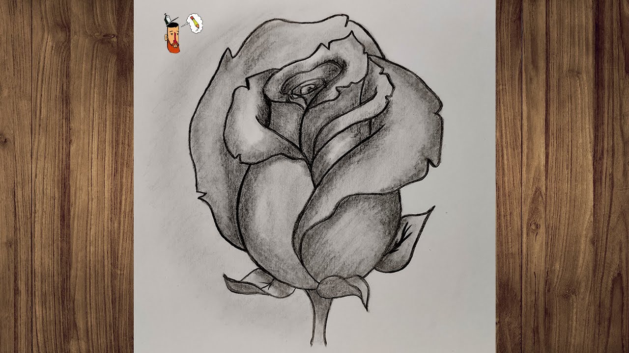 Como desenhar uma rosa a lápis | Desenhando de modo fácil passo a passo | Desenho para iniciantes