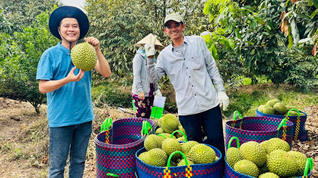 Khương Dừa trầy da tróc vẩy vận chuyển sầu riêng, không có gì dễ dàng…
