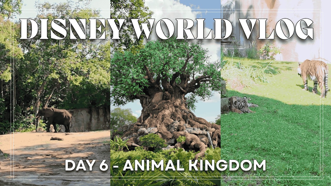 DISNEY WORLD VLOG - Day 6! Animal Kingdom, Expedition Everest, and Flight of Passage! | May 2025