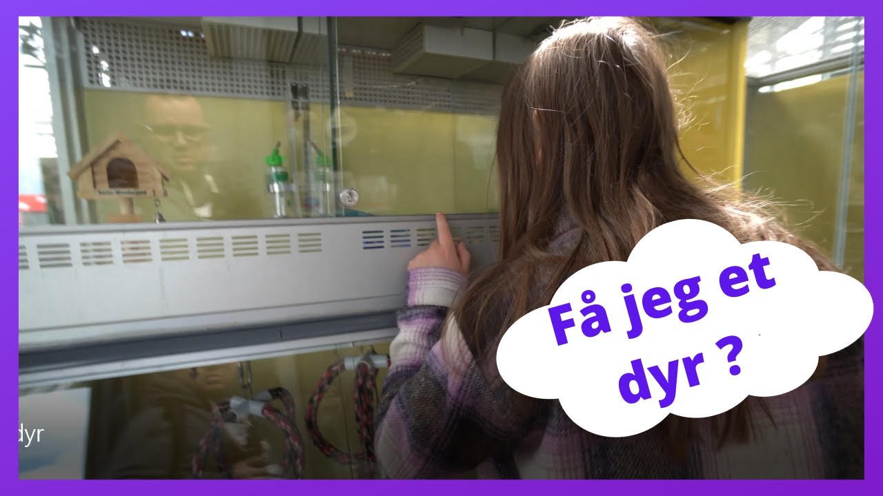Få jeg et dyr ?
