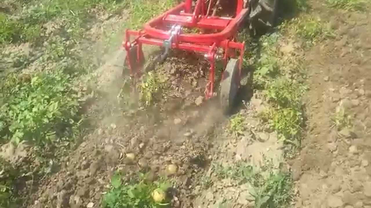 Παούρης Πατατοεξαγωγέας Delmorino