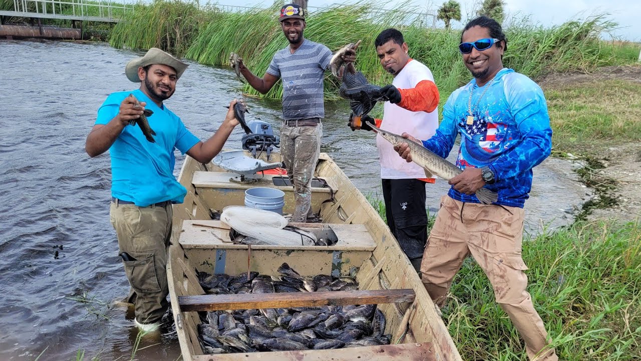 One Boat Load Of Fish (Hassa & Tilapia)