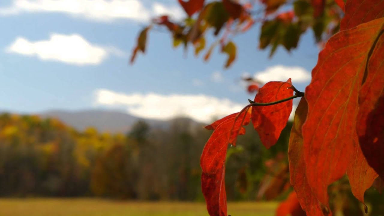Autumn in Cades Cove, Great Smoky Mountains