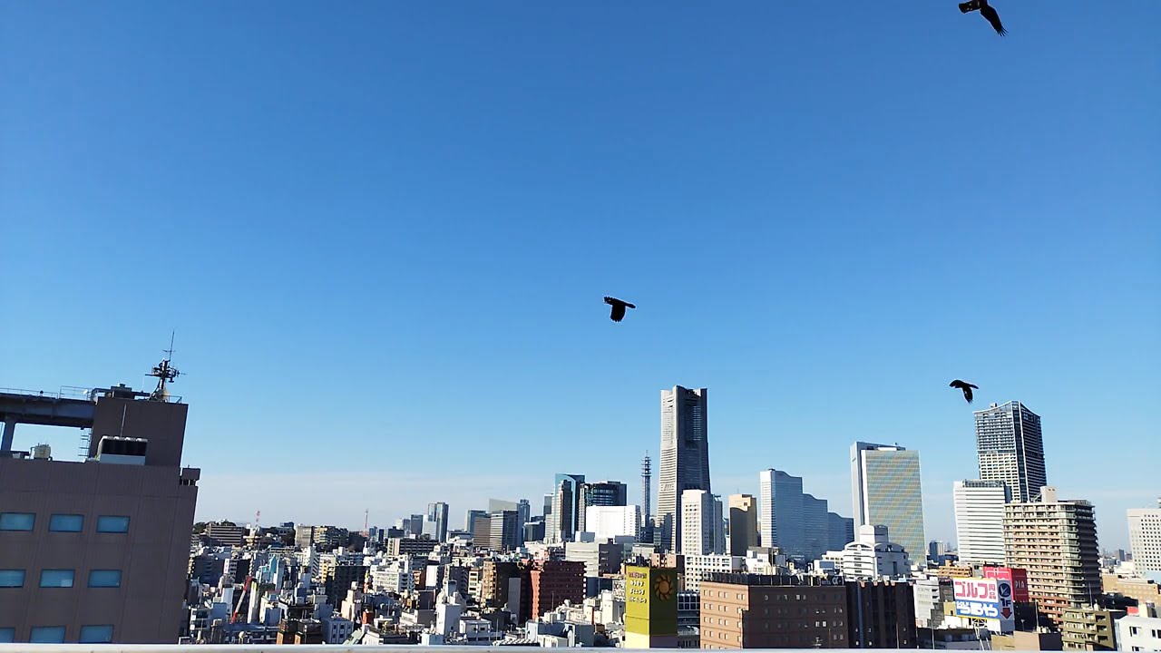 【タイムラプス】夕焼けに街が染まる、ランドマークタワーの遠景 2025年2月下旬(4)
