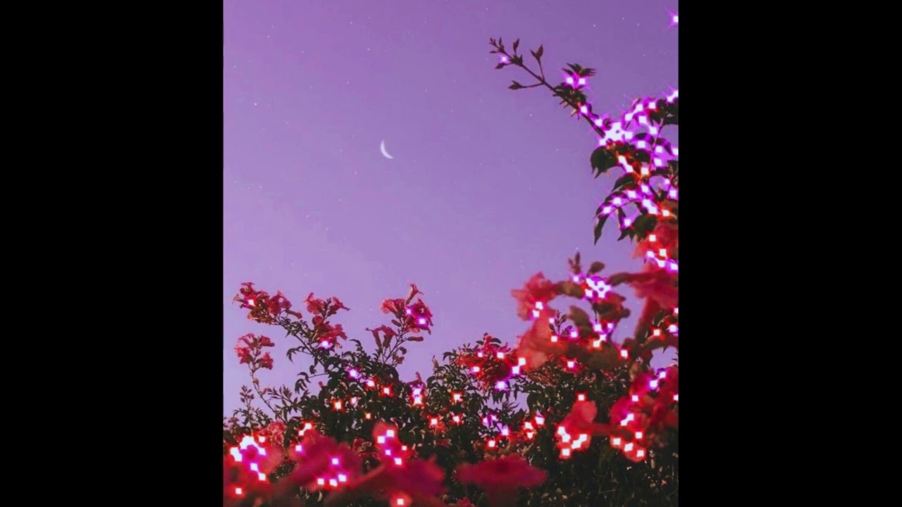 (Free) Pierre Bourne X Playboi Carti Type Beat- New Passion