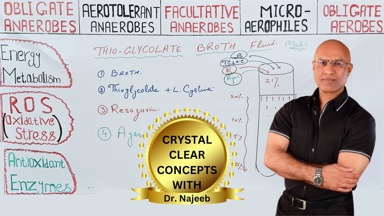 Reactive Oxygen Species | ROS | Oxidative Stress | Antioxidants💧