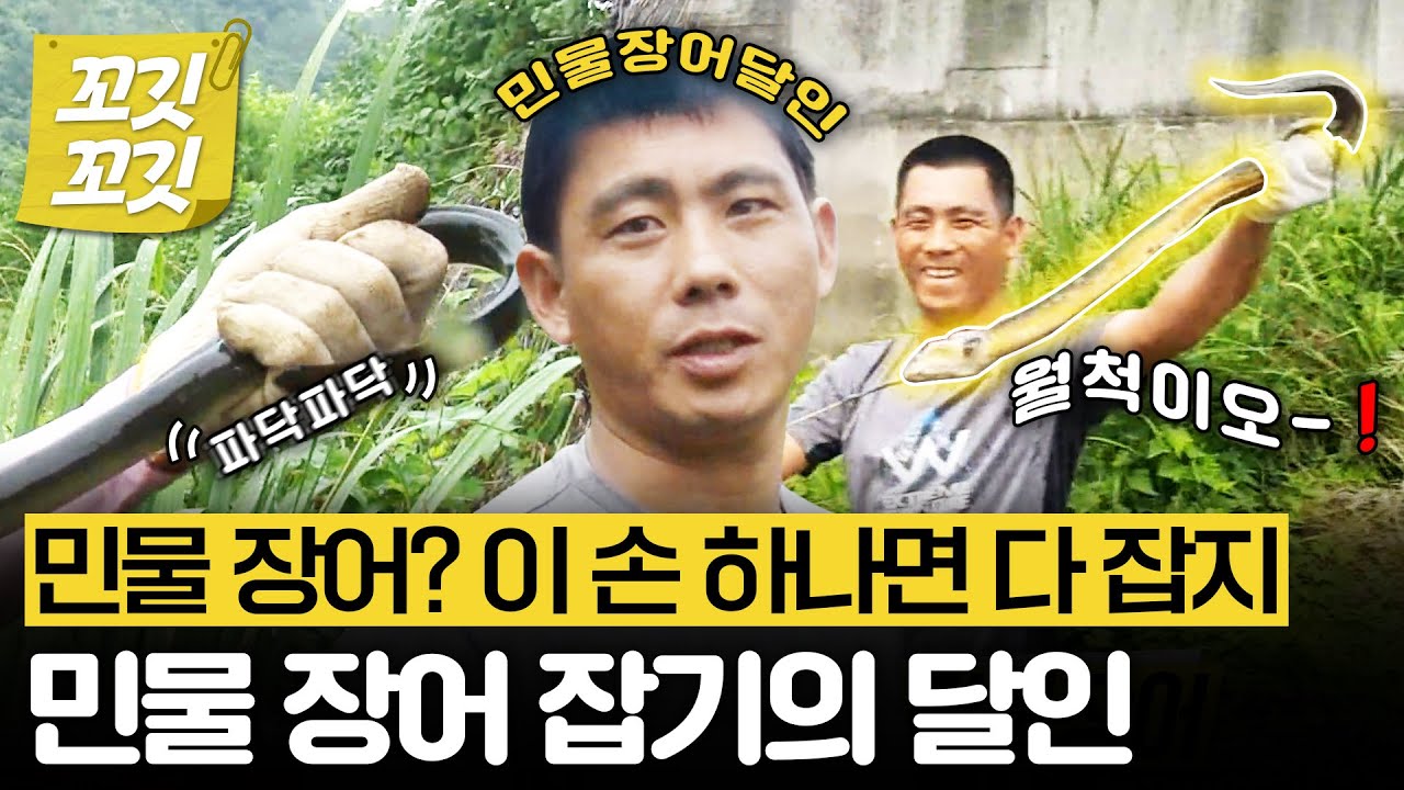 [📚#꼬깃꼬깃] 맨손으로 민물 장어를 때려잡는 사람이 있다?! #생활의달인 #달리 #DALI