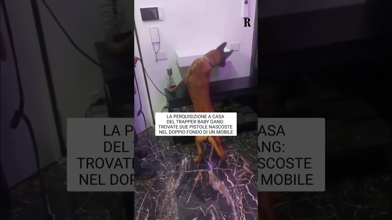 La perquisizione a casa del trapper Baby Gang