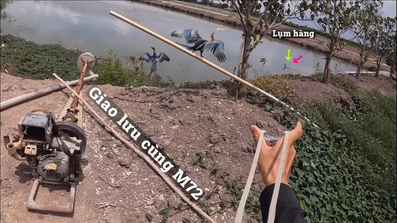 two good hunters combine | Đảm Nguyễn vs M72 | part 11