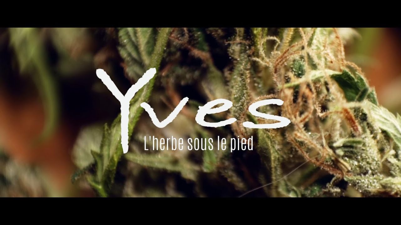 Yves - L'herbe sous le pied - 2021 - (Clip Officiel) Reggae Fran&ccedil;ais