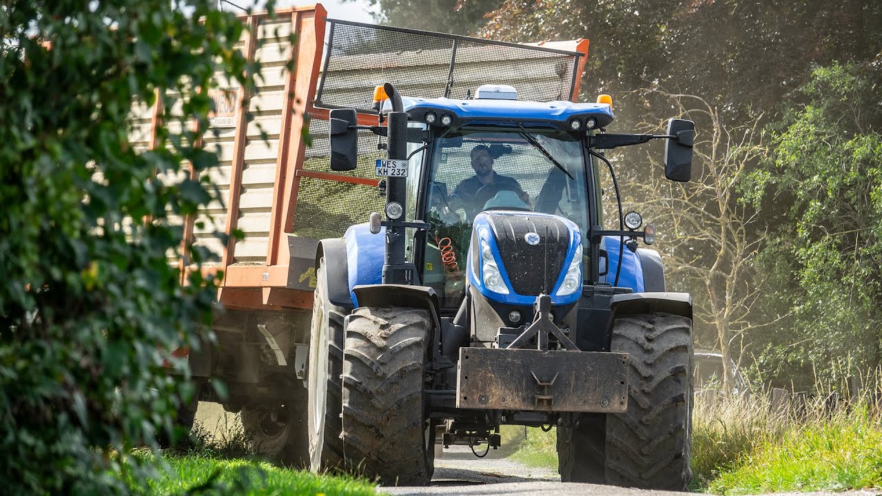Mais Hakselen 2020 | Klein-Hitpaß - Type 498, Claas Jaguar 960.
