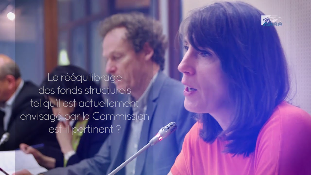 Questions à Mme REVAULT d'ALLONNES-BONNEFOY (députée UE) - fonds structurels européens - cese