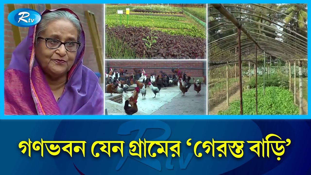প্রধানমন্ত্রীর গণভবন যেন এক টুকরো খামারবাড়ি | Prime Minister House | Ganabhaban | Rtv News