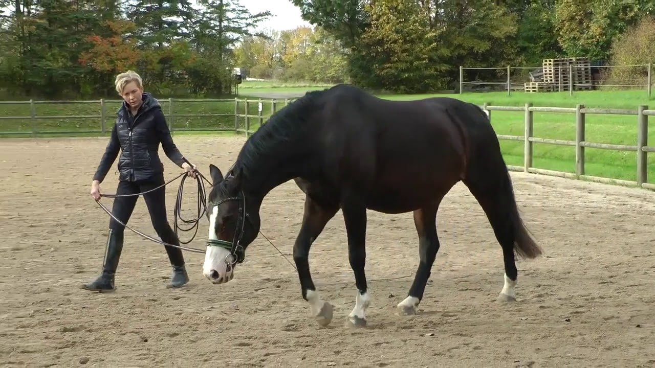 Video Critique: Linda and Regitse Submission 1