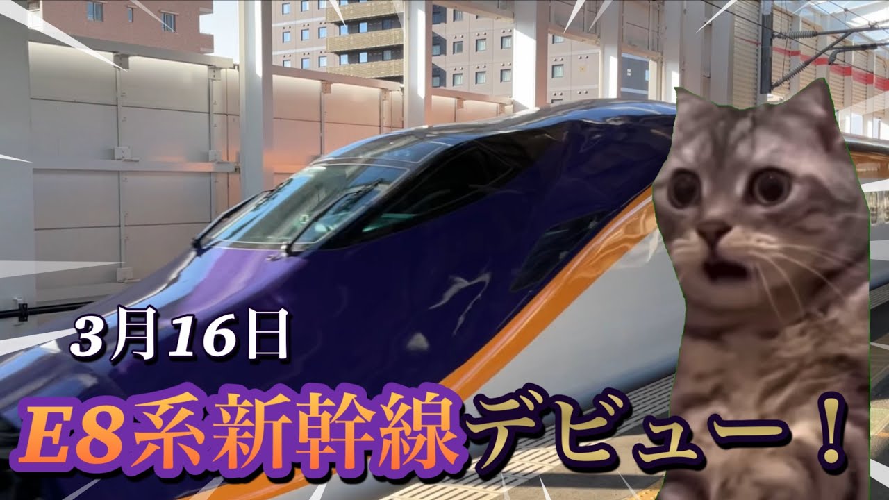 【猫ミーム】E8系新幹線を見に福島駅に行ったら…
