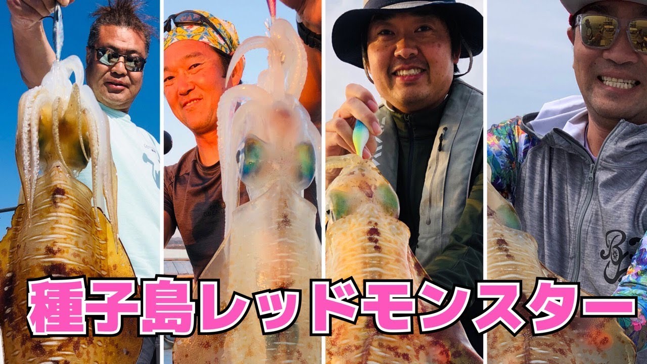 【ティップラン】種子島レッドを狙え〜3.73㎏〜squid