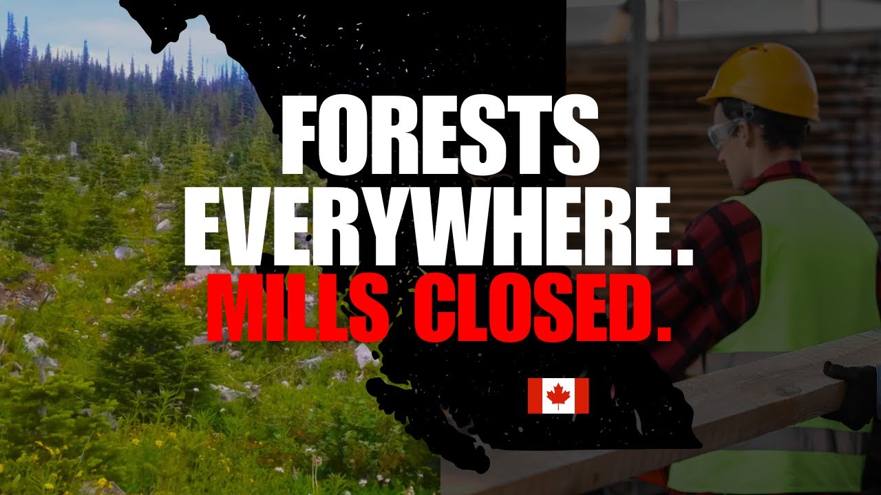 The myths driving BC forestry into the ditch - if there's plenty of timber why are mills closing?