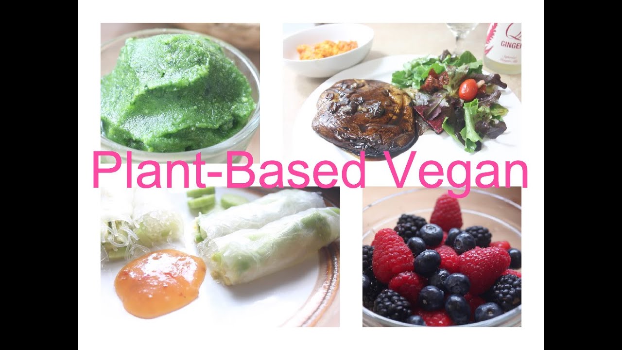 What I Eat In A Day / Plant-Based Vegan