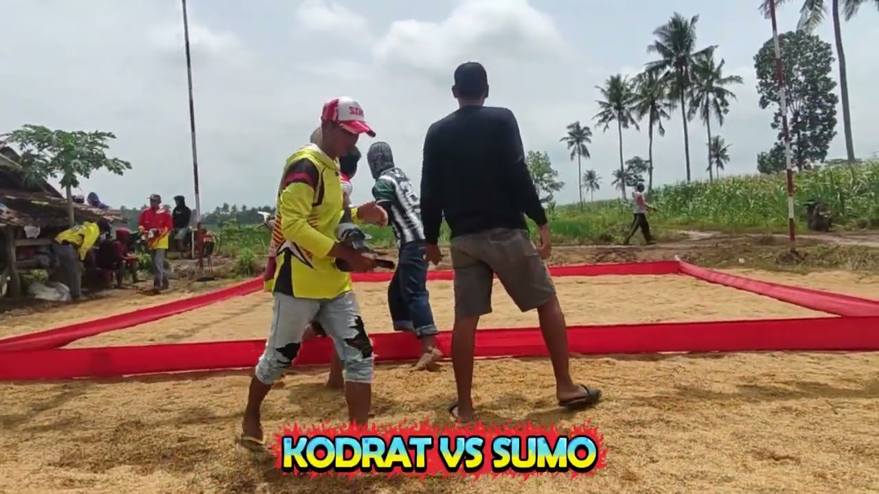 PARTAI BOB LAPKOL SRIWEDARI