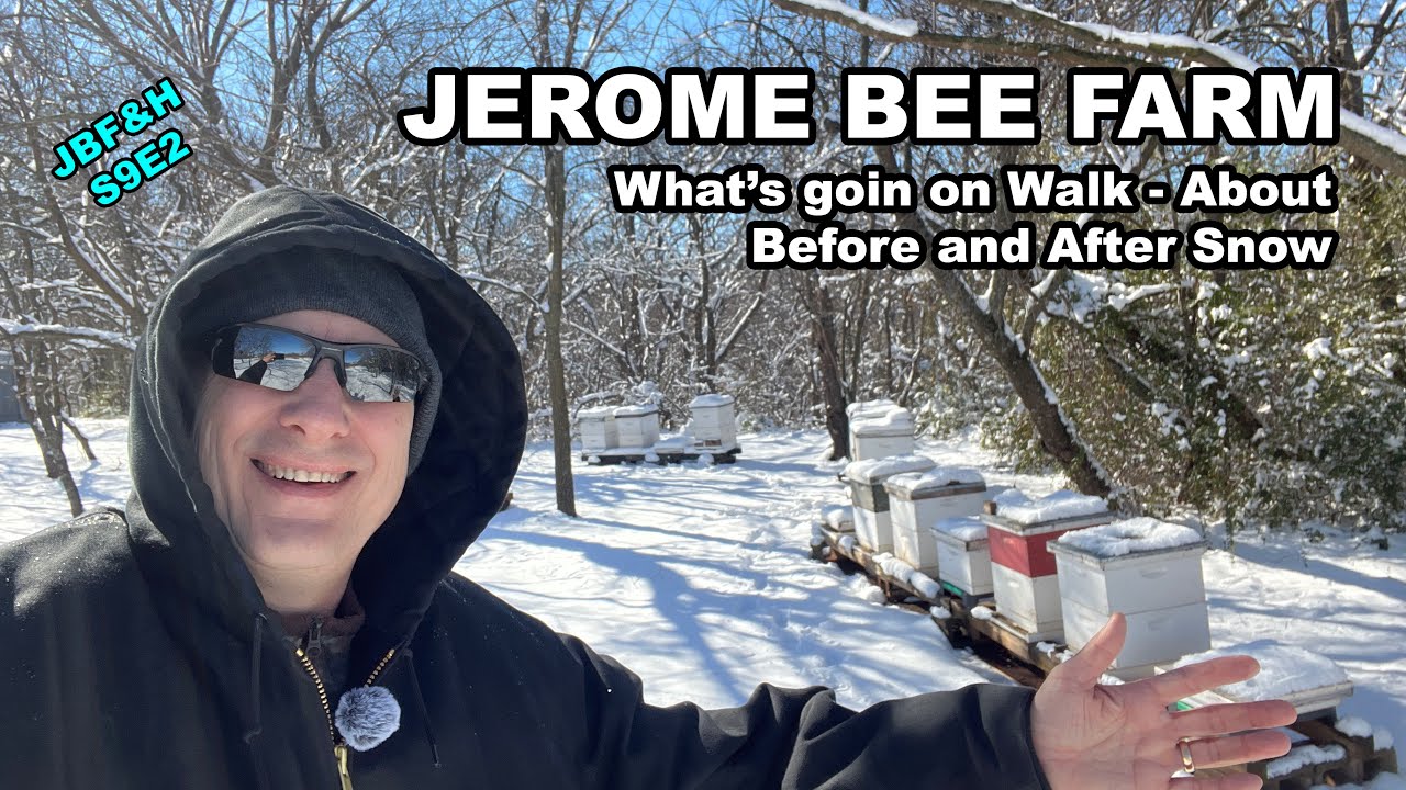 Jerome Bee Farm January 2025 walkabout S9E2 #beekeeping