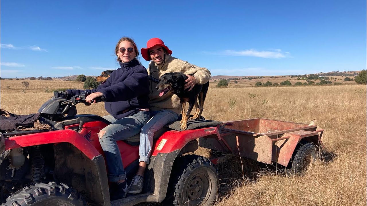 JOURNAL DE BORD EN AUSTRALIE #12 🇦🇺🦘(bienvenue dans la Leswell farm)
