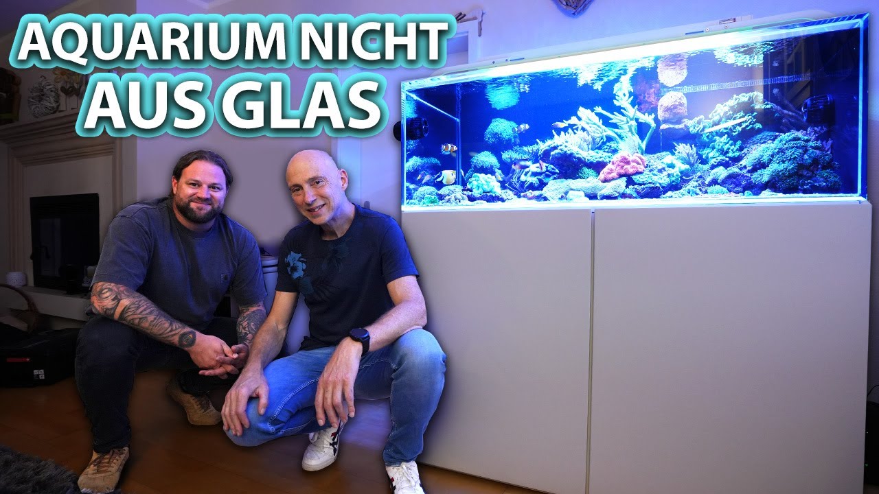 Erfahrungen mit meinem ACRYL-AQUARIUM - New Wave besucht Uwe