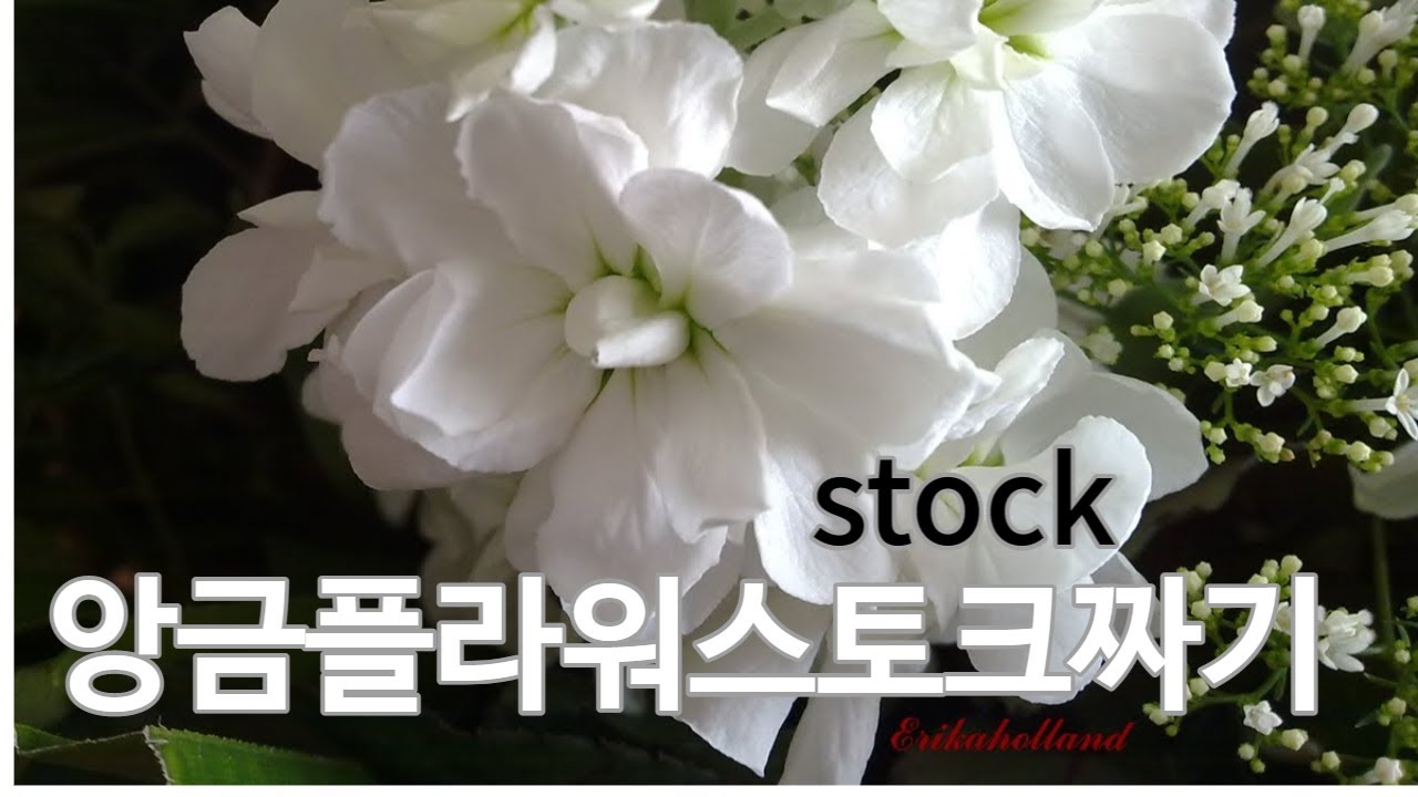 How to make a stock / 자세한 설명으로 스토크 배워보세요