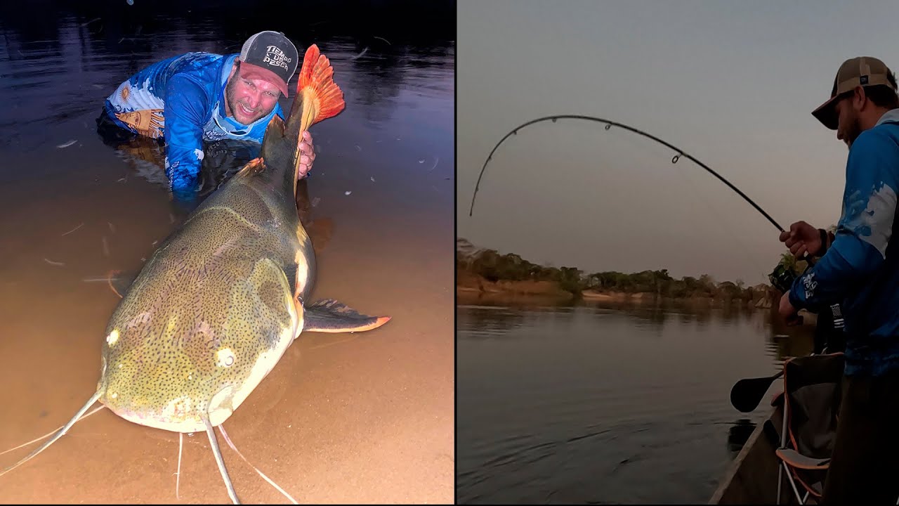 Los Monstruos de la selva boliviana (pesca de un cola roja muy grande, con una “cañita” muy chica.